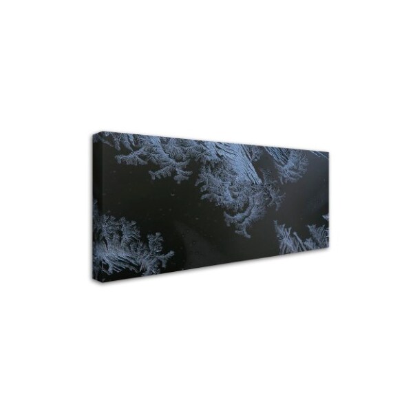 Kurt Shaffer 'Frost Lace' Canvas Art,12x24